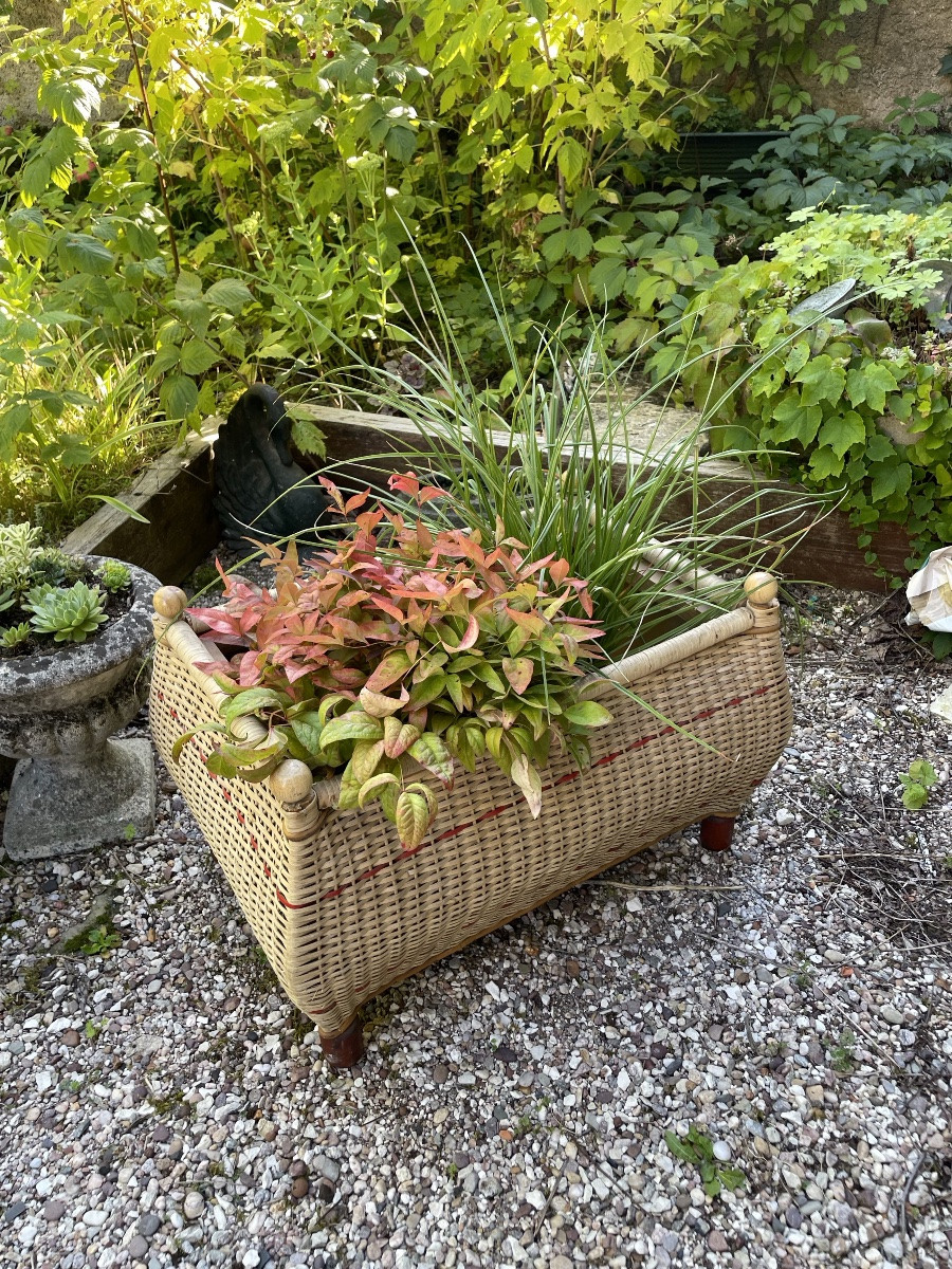 Beautiful Woven Wicker Planter-photo-1