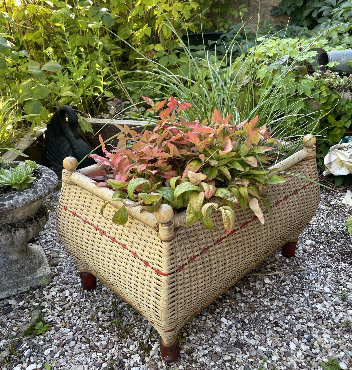 Beautiful Woven Wicker Planter