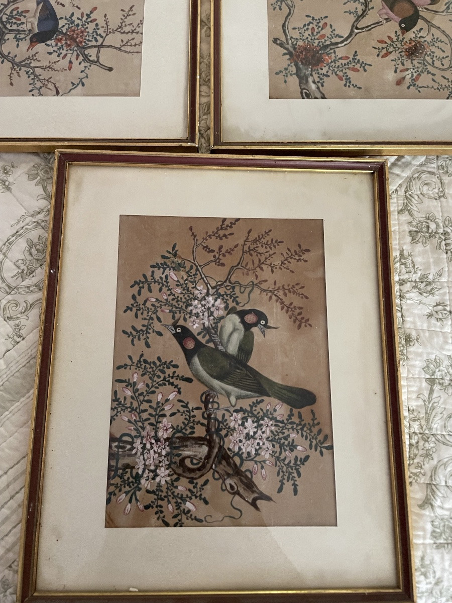 Les 3 petites peintures d’oiseaux , Chine vers 1900-photo-3