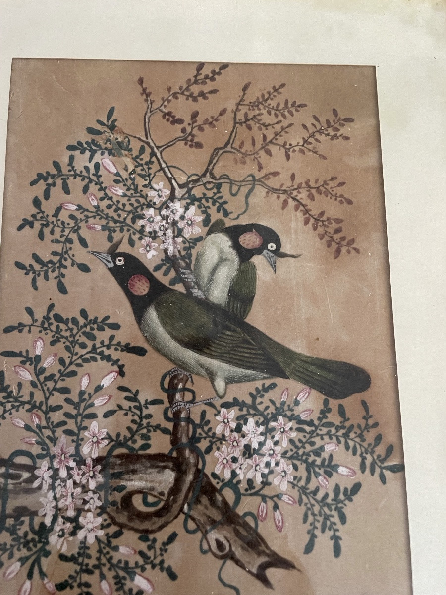 Les 3 petites peintures d’oiseaux , Chine vers 1900-photo-4