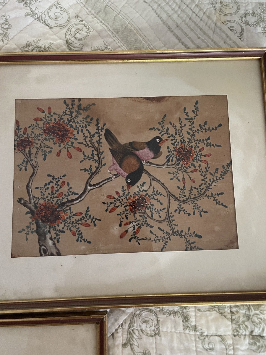 Les 3 petites peintures d’oiseaux , Chine vers 1900-photo-1