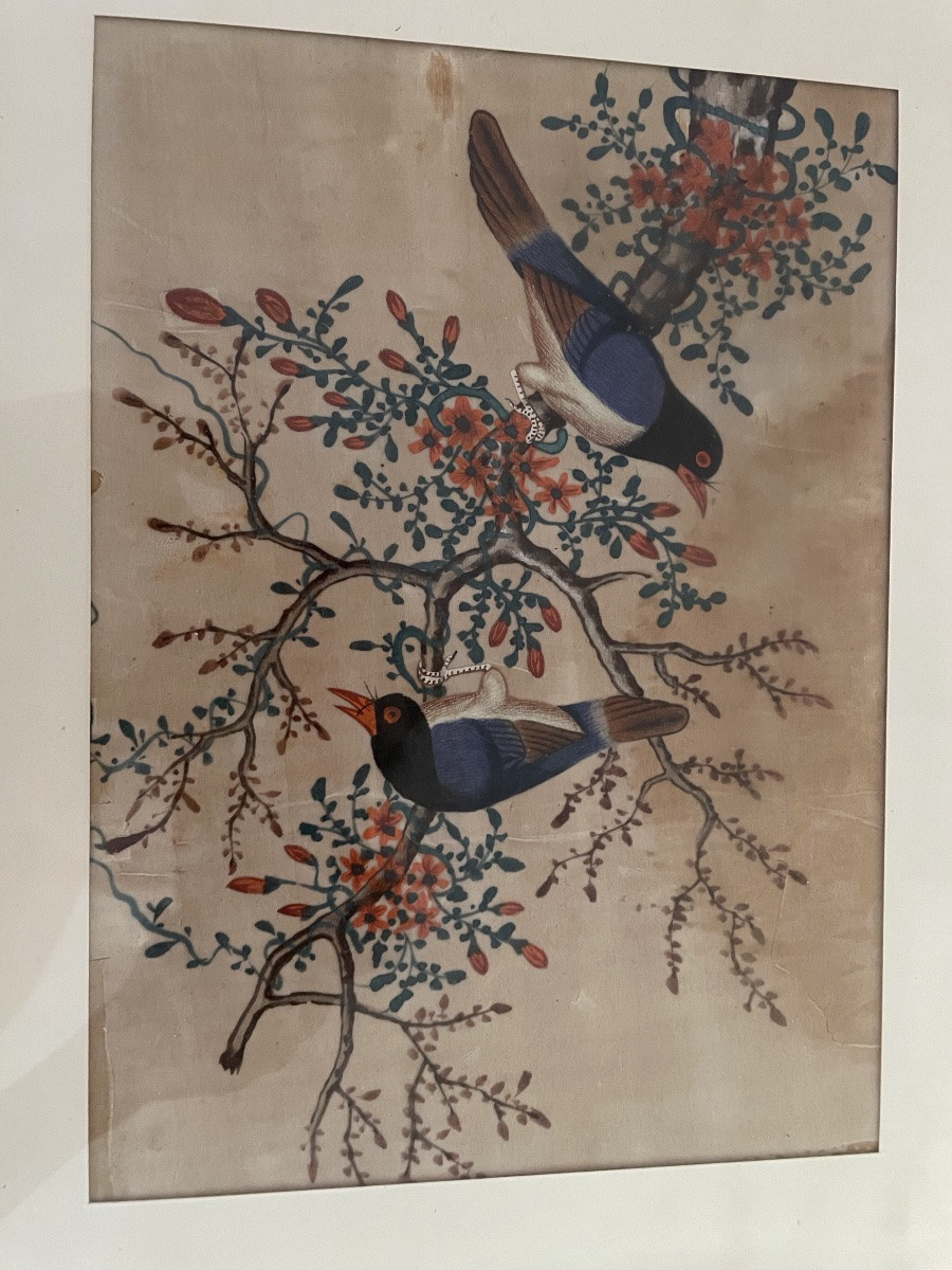 Les 3 petites peintures d’oiseaux , Chine vers 1900-photo-3
