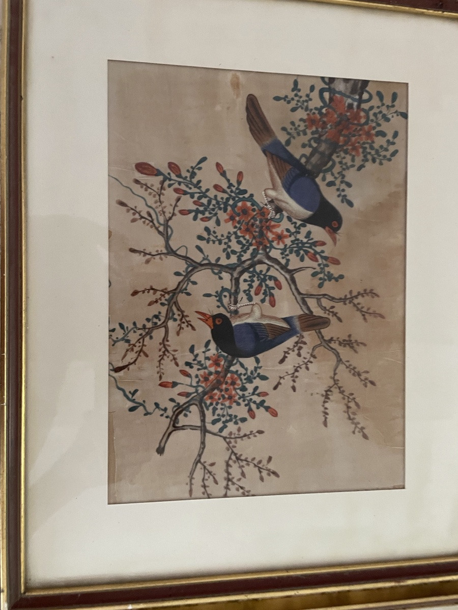 Les 3 petites peintures d’oiseaux , Chine vers 1900-photo-4