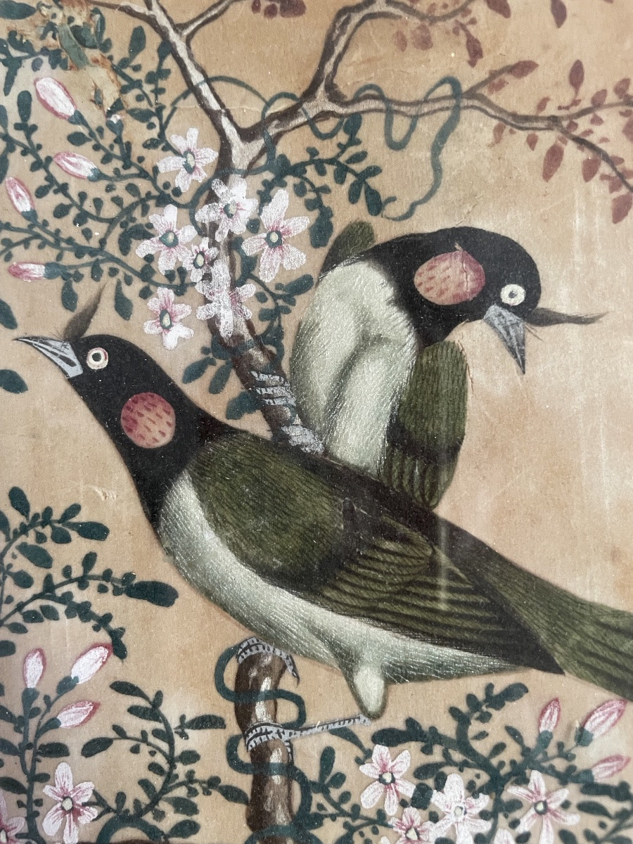 Les 3 petites peintures d’oiseaux , Chine vers 1900-photo-7