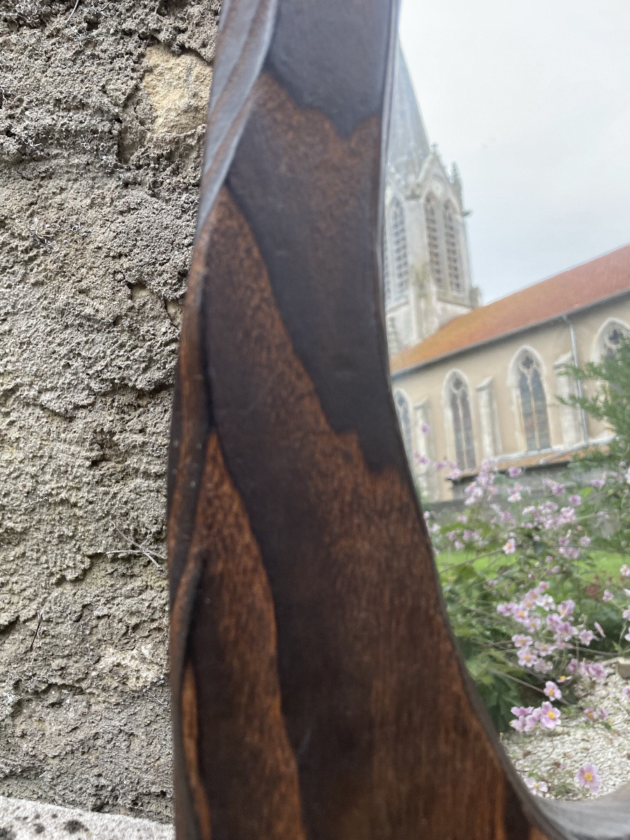 Free-form Mirror In Exotic Wood -photo-1