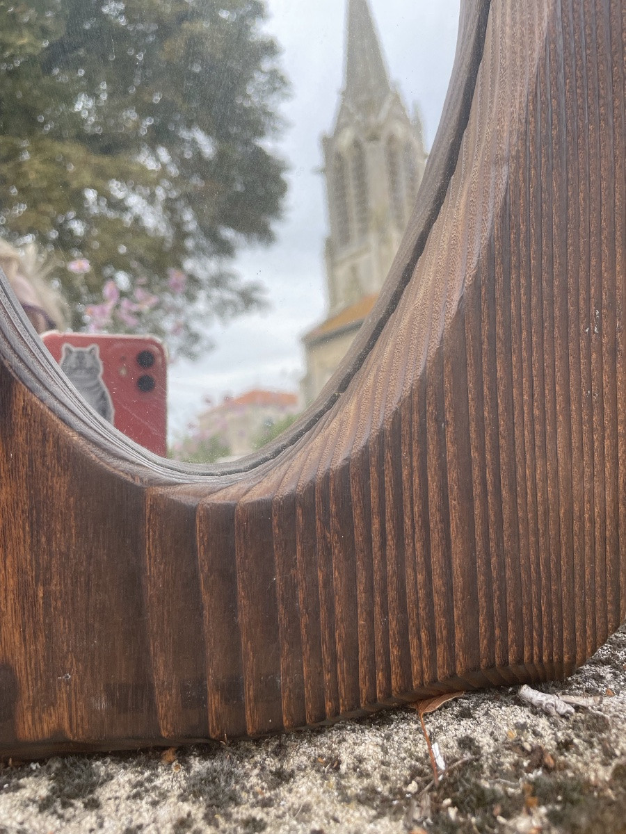 Free-form Mirror In Exotic Wood -photo-2