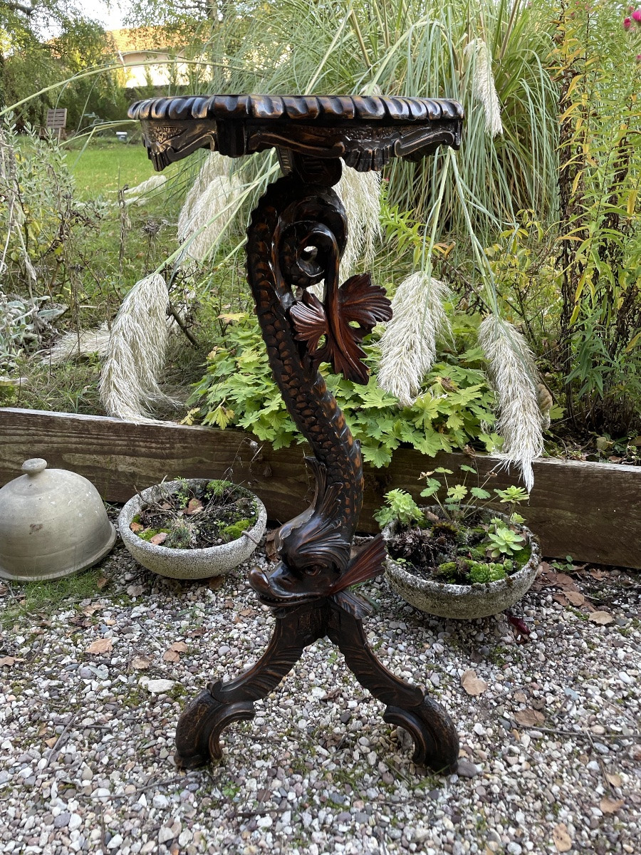 Selette en bois sculpté de la forêt Noire au Dauphin -photo-2