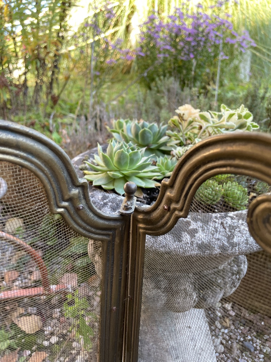 Very Small 3-leaf Spark Arrestor For A Small Fireplace -photo-3