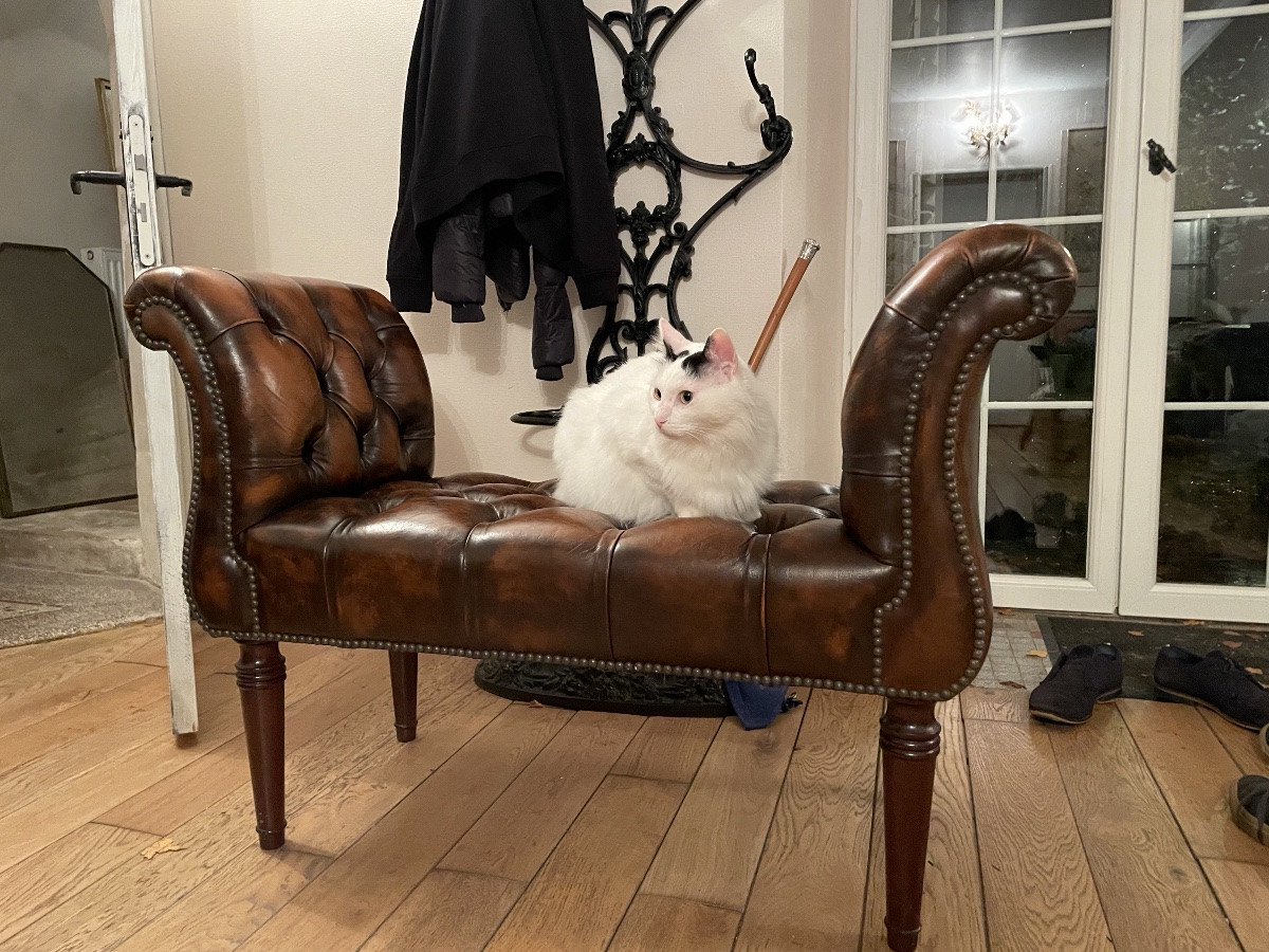 Chesterfield Window Seat Bench In Cognac Leather.-photo-4