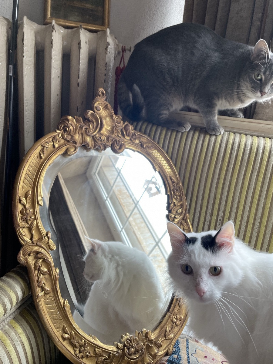 Petit miroir sculpté et doré de style Louis XV-photo-2