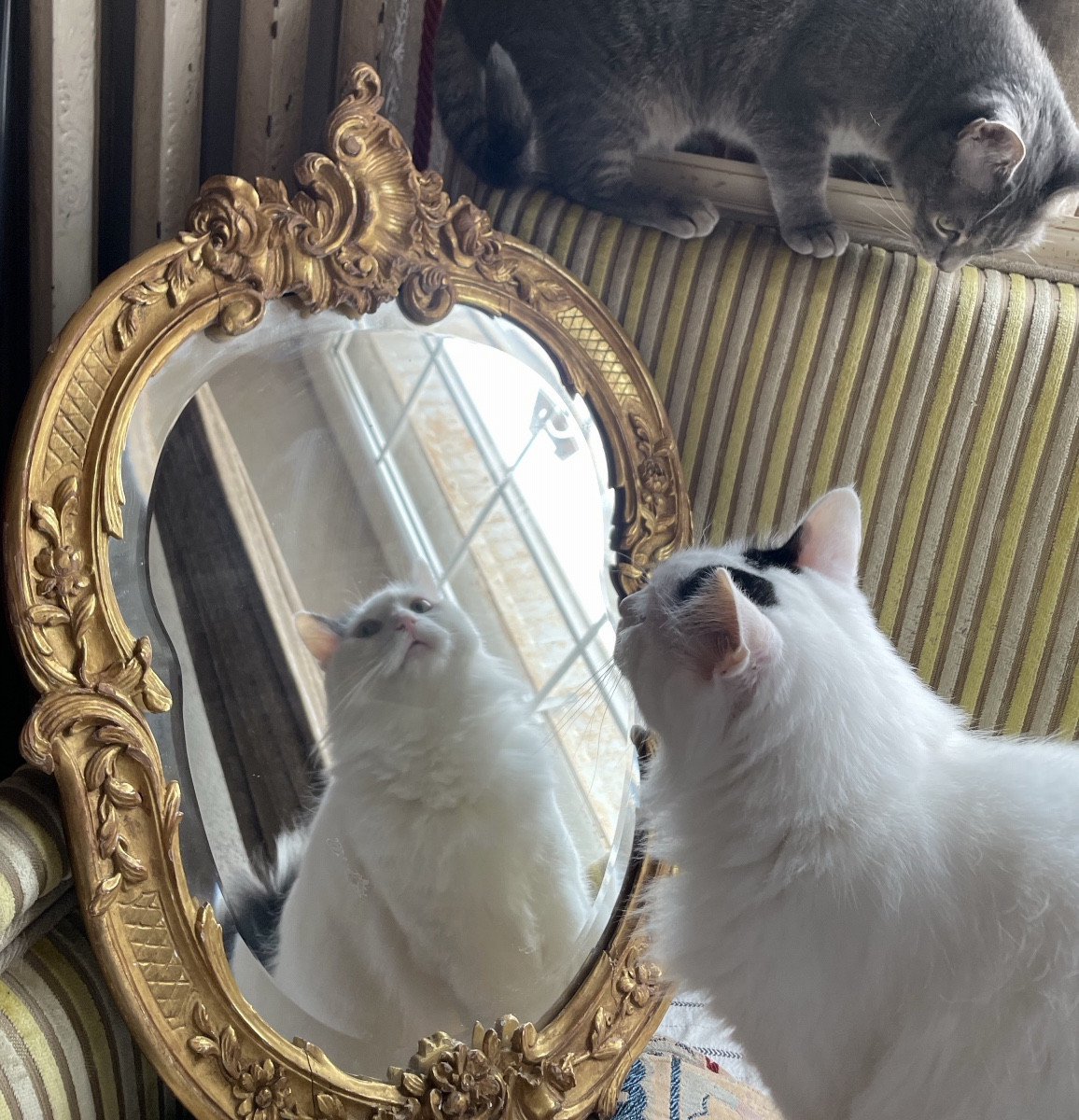 Petit miroir sculpté et doré de style Louis XV