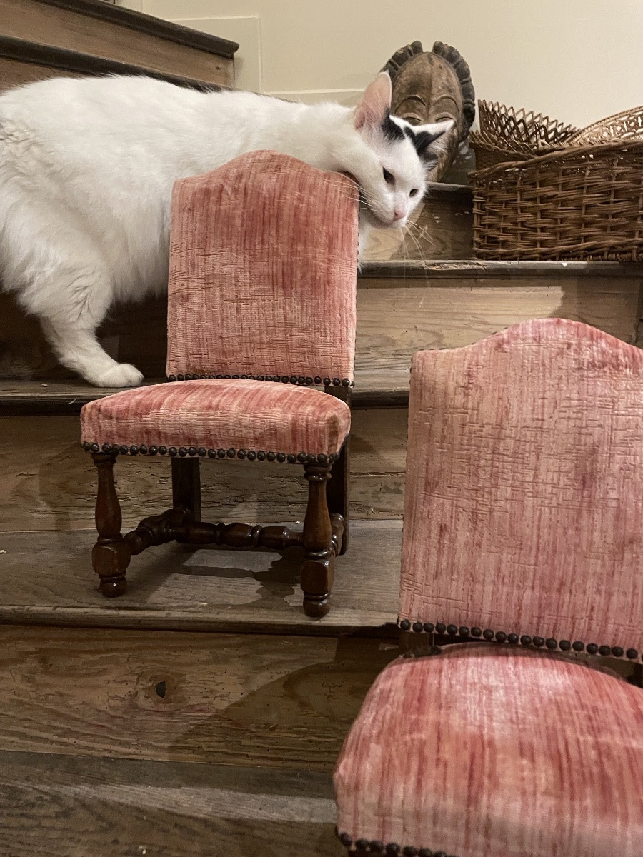 Travail de maîtrise , La Chaise Miniature -photo-2