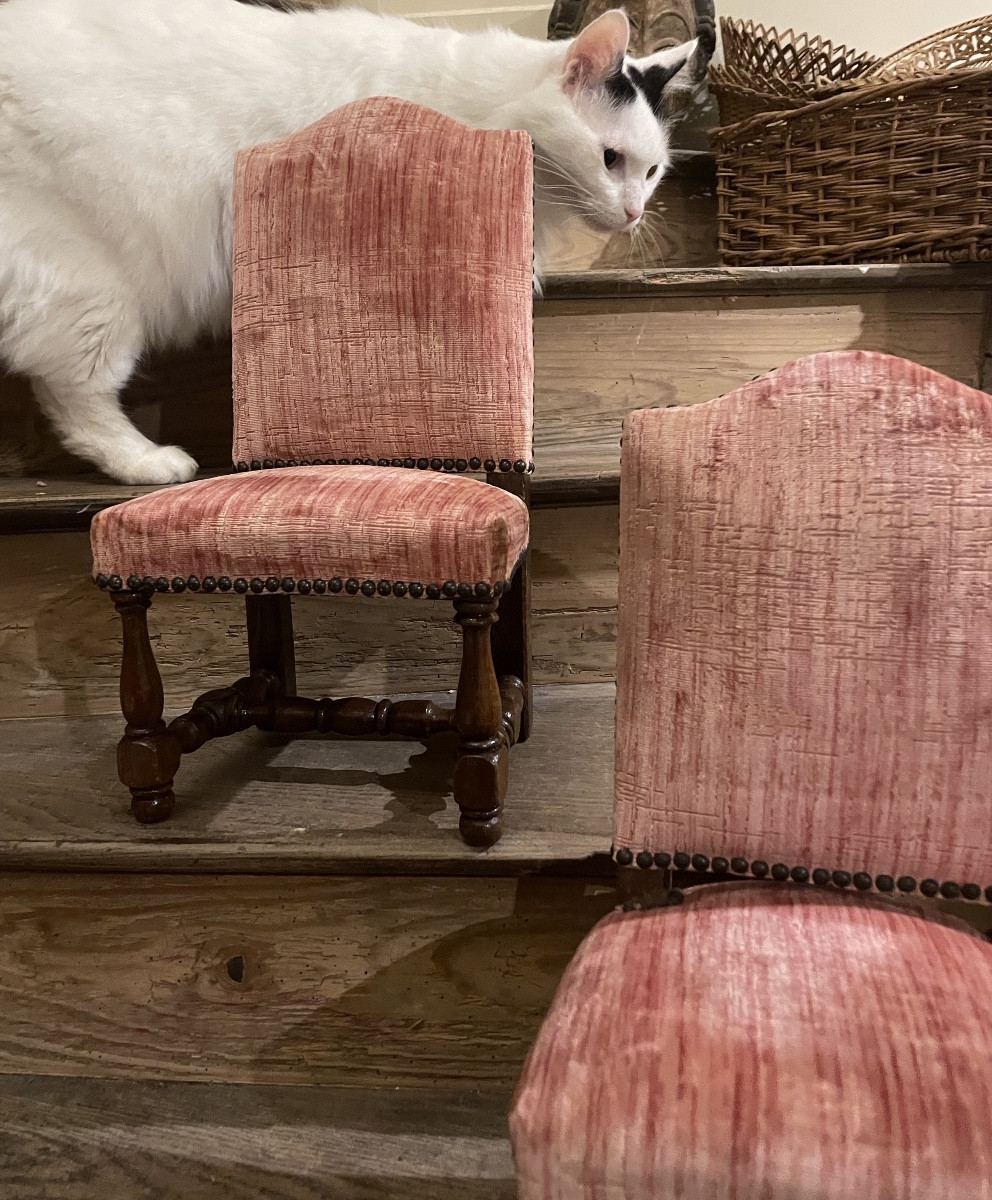 Travail de maîtrise , La Chaise Miniature 