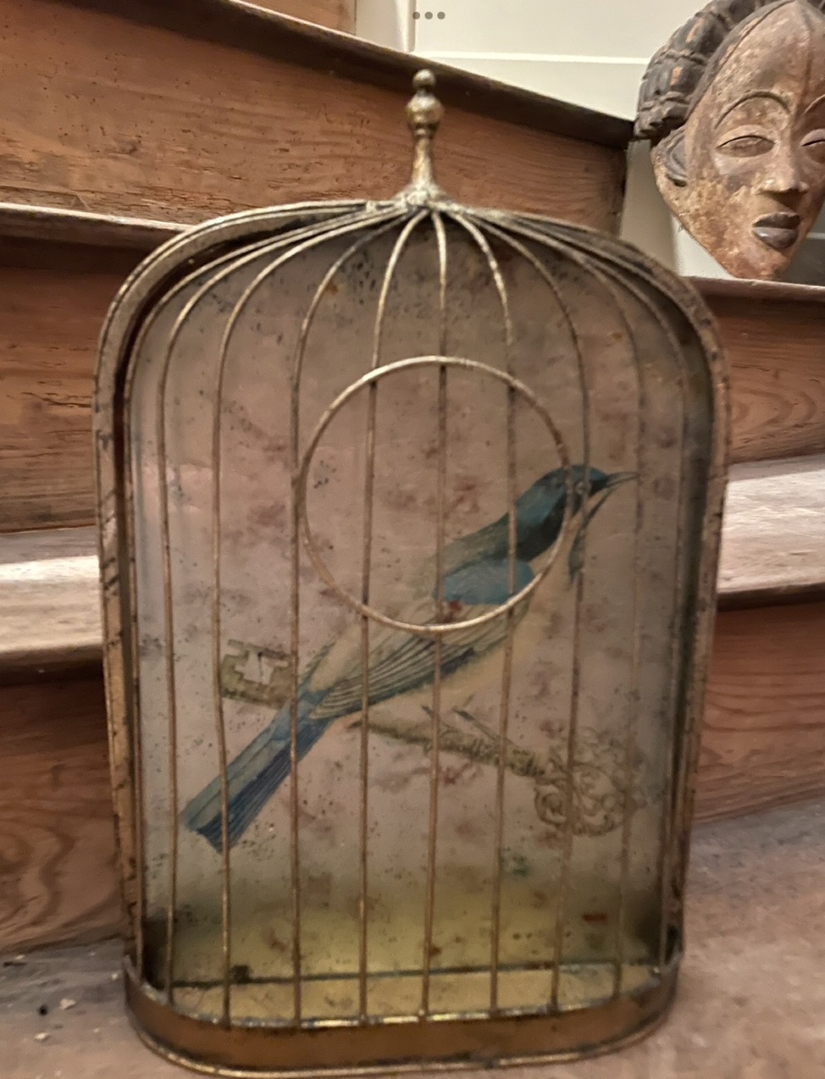 Trompe-l'oeil Birdcage-photo-2