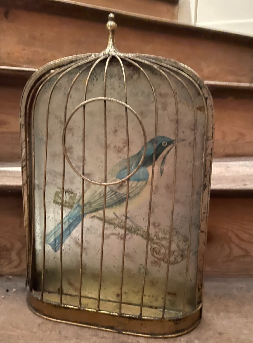 Trompe-l'oeil Birdcage-photo-3