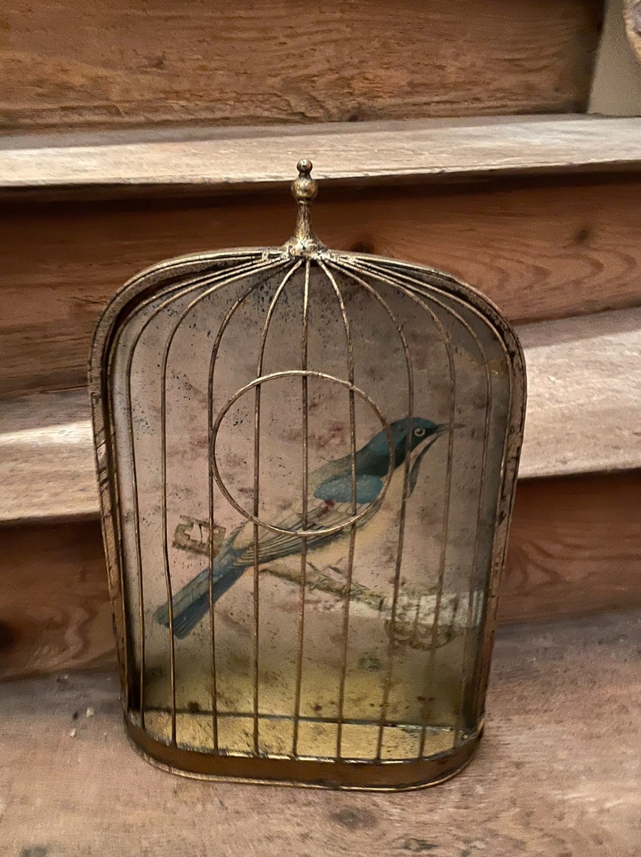 Trompe-l'oeil Birdcage-photo-3