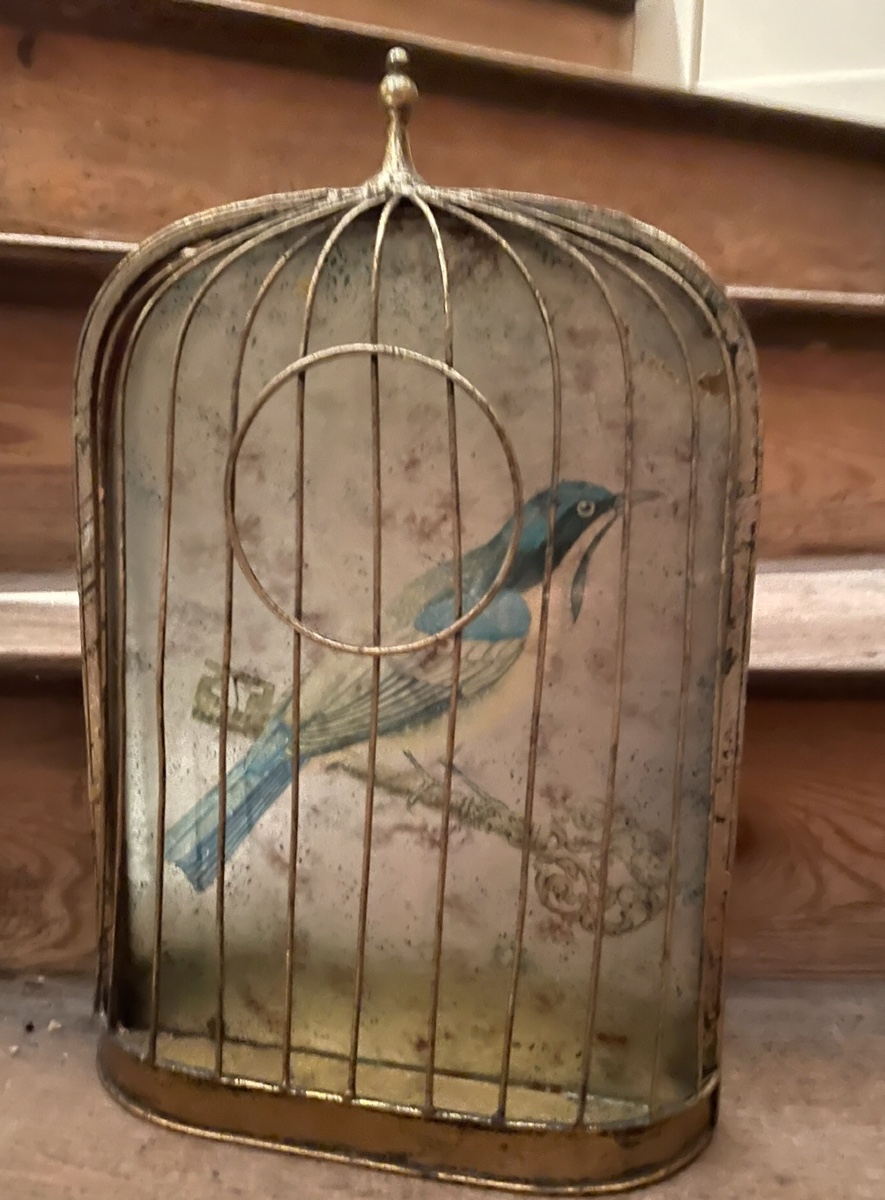 Trompe-l'oeil Birdcage