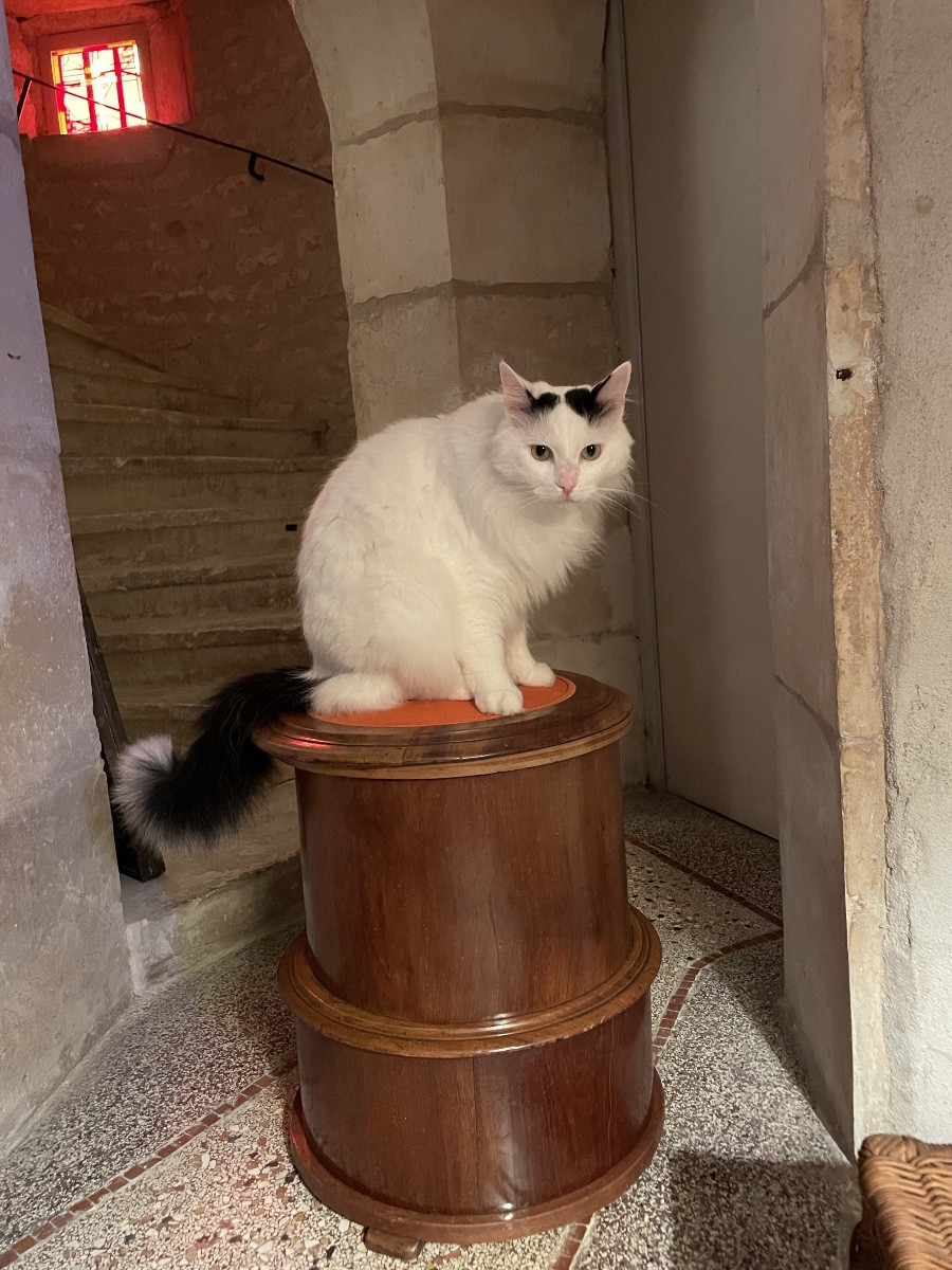 tabouret , coffre ou  colonne anglais en  acajou  XIX eme-photo-3