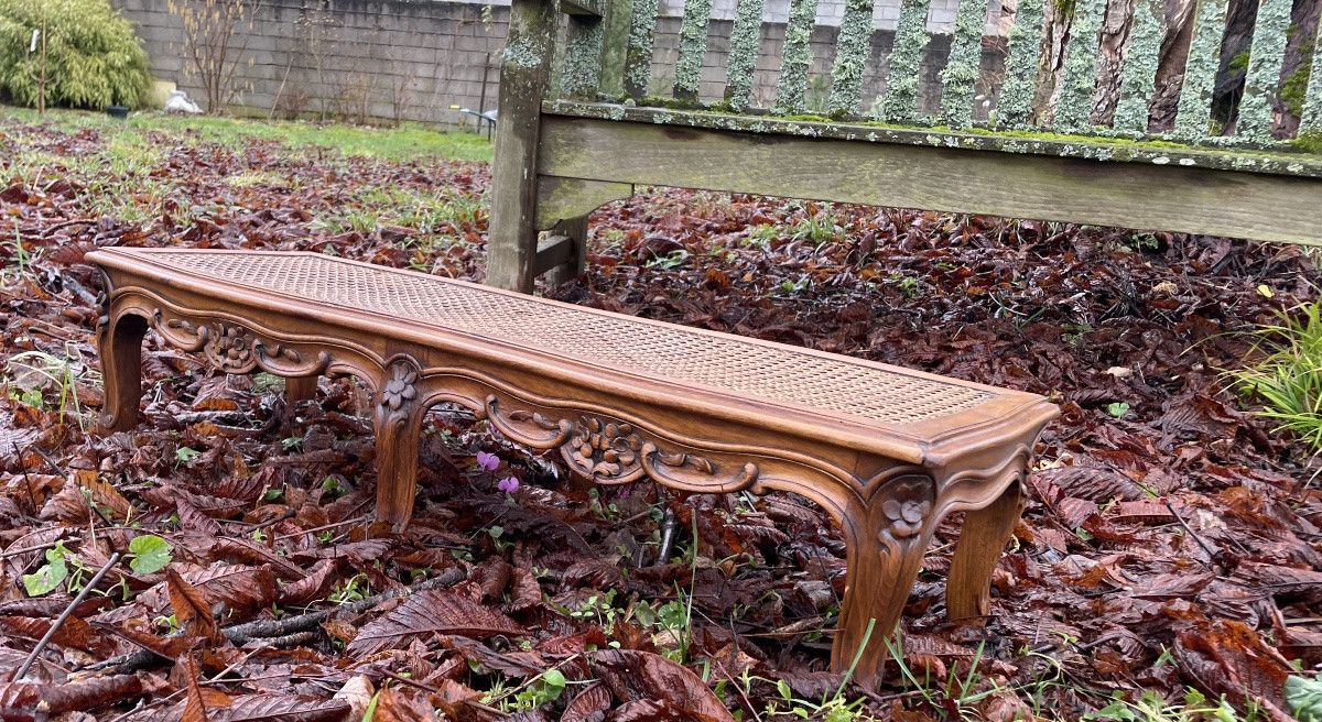 Louis XV Style Carved Bench-photo-4