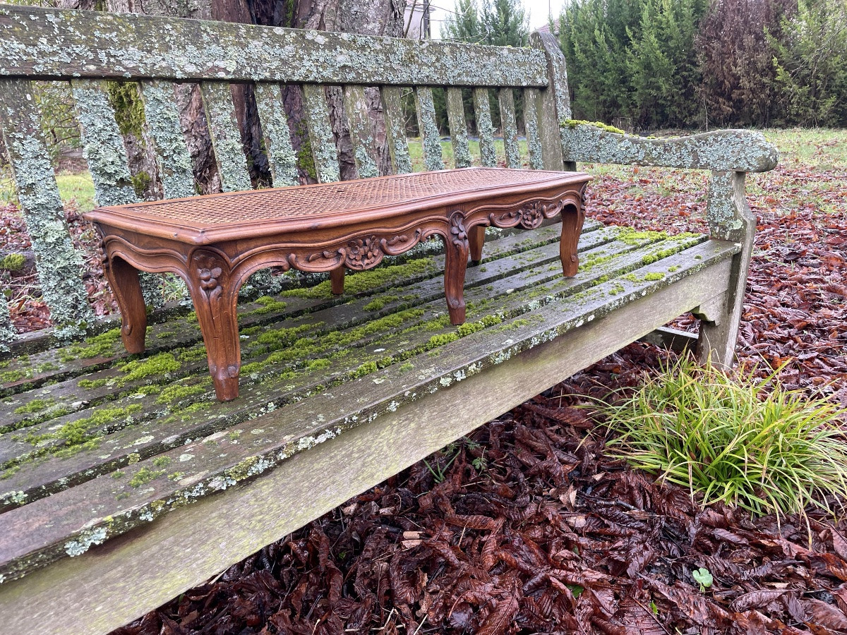 Louis XV Style Carved Bench-photo-6