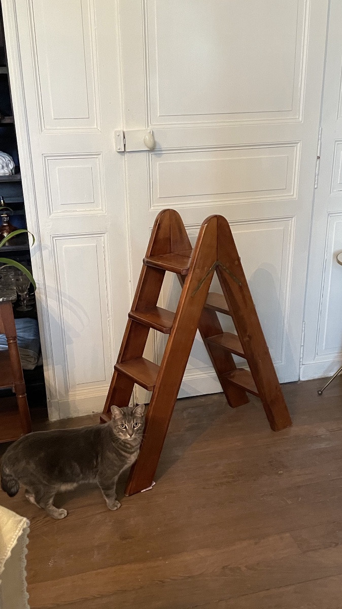 ESCABEAU / ESCALIER DE BIBLIOTHÈQUE EN Acajou -photo-2