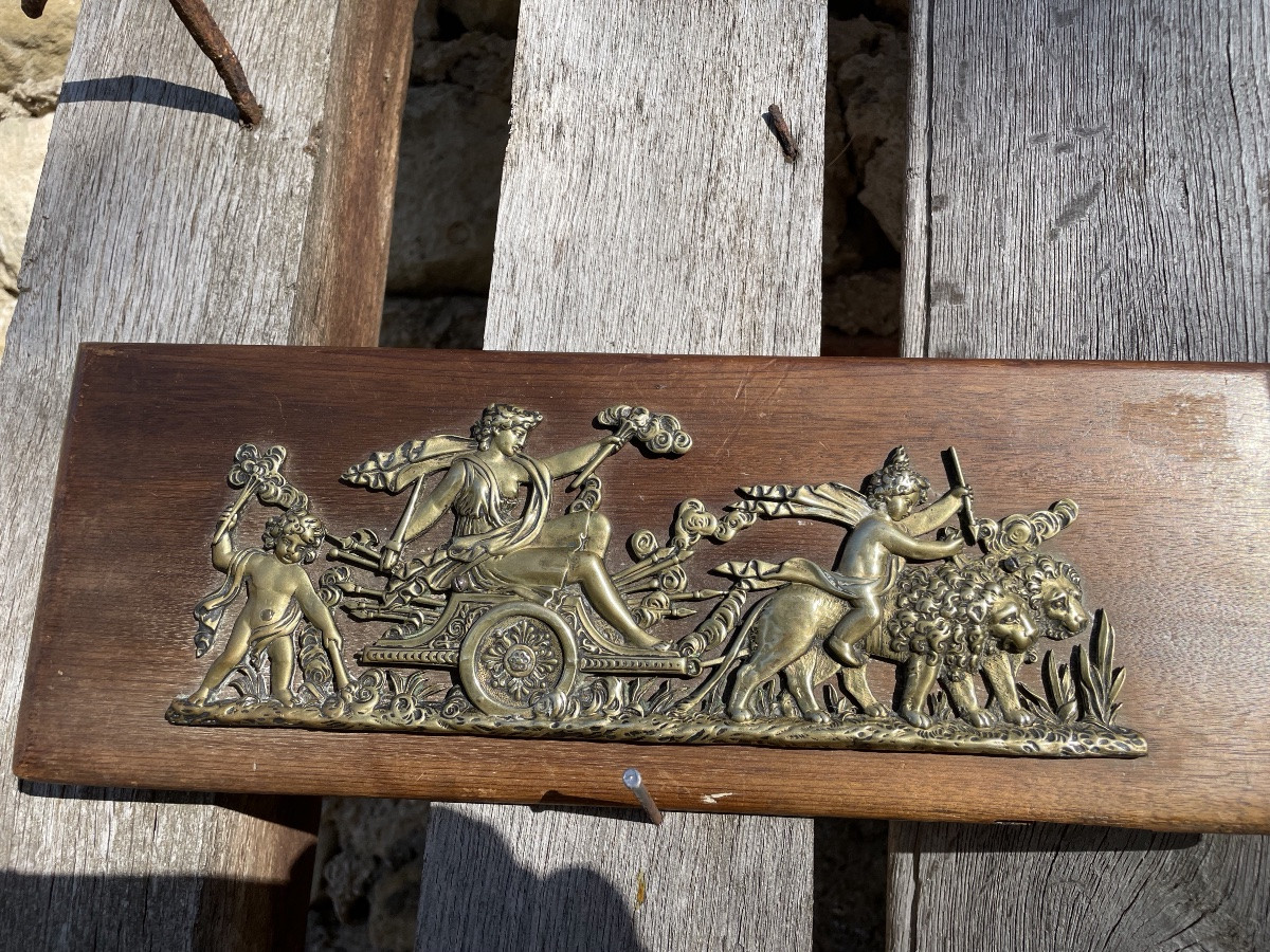 La plaque décorative en bronze doré au caducée -photo-3