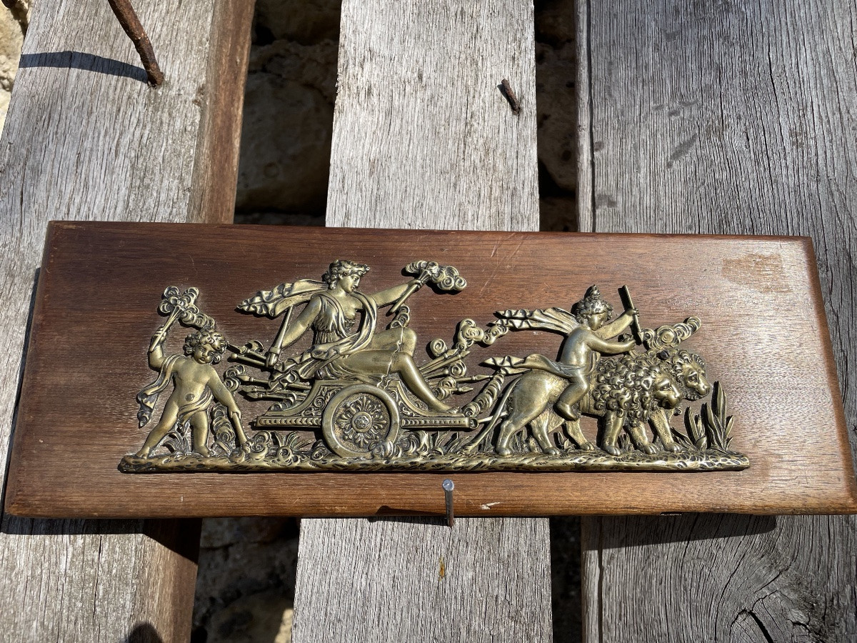 La plaque décorative en bronze doré au caducée -photo-4