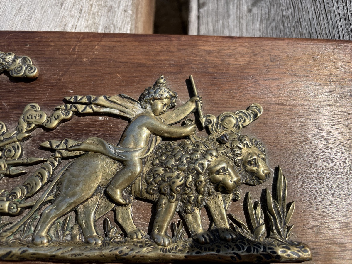 La plaque décorative en bronze doré au caducée -photo-6