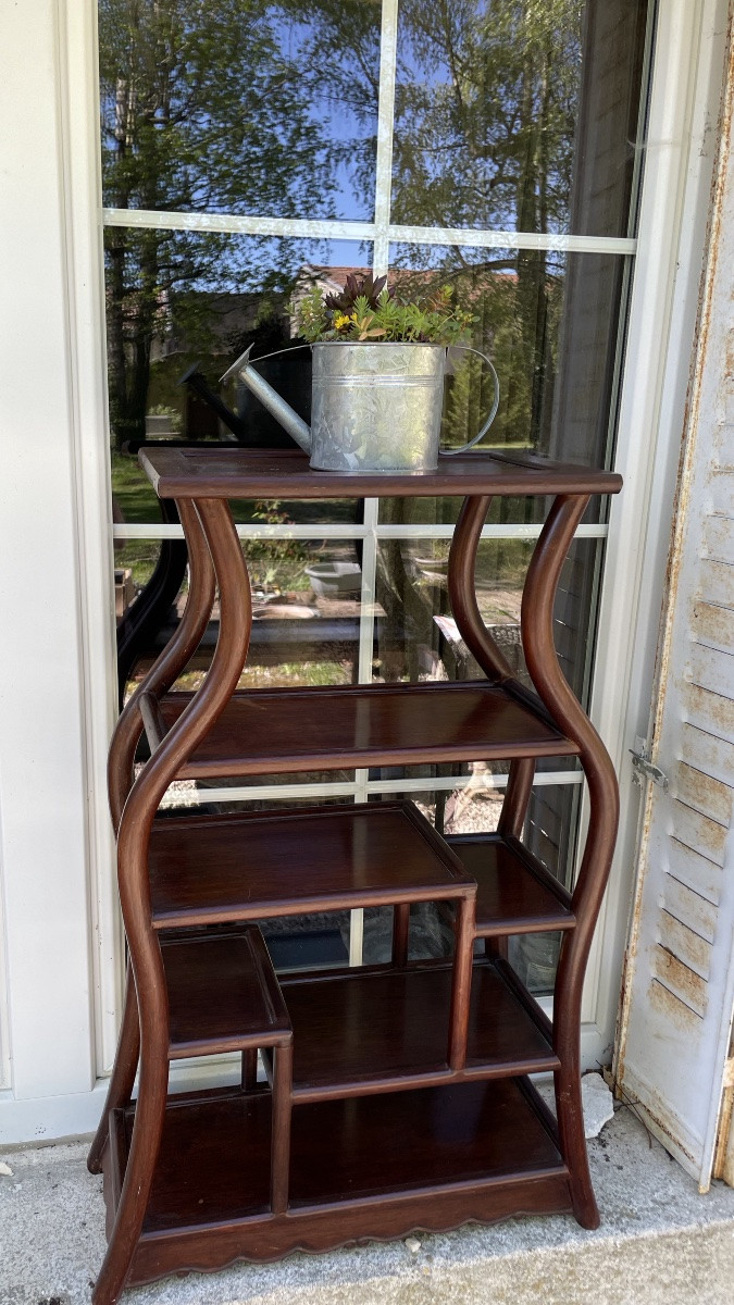 China Display Cabinet In Exotic Wood-photo-2