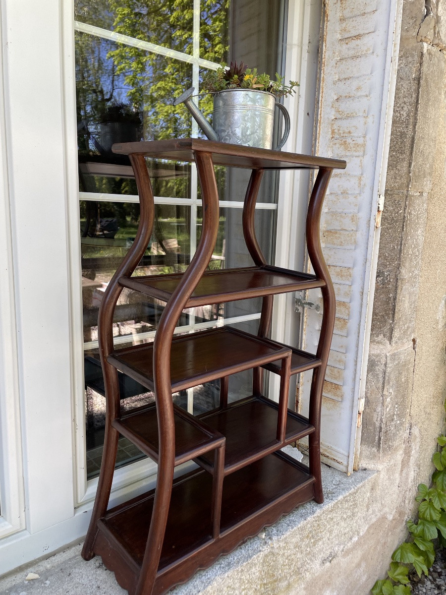China Display Cabinet In Exotic Wood-photo-3