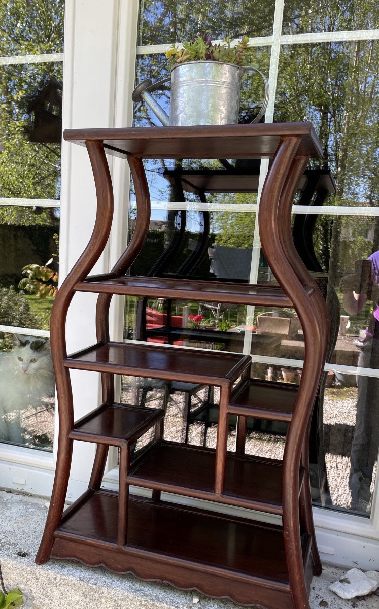 China Display Cabinet In Exotic Wood-photo-4