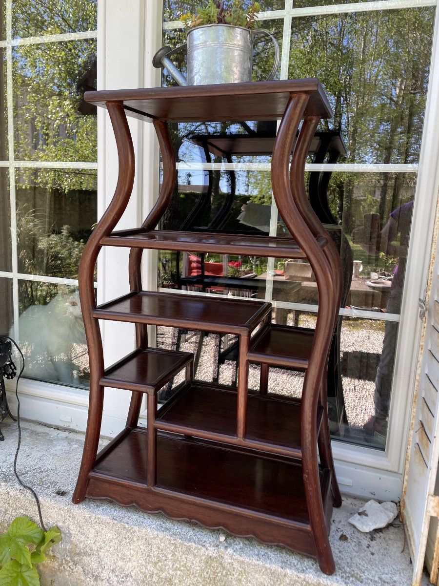 China Display Cabinet In Exotic Wood-photo-1