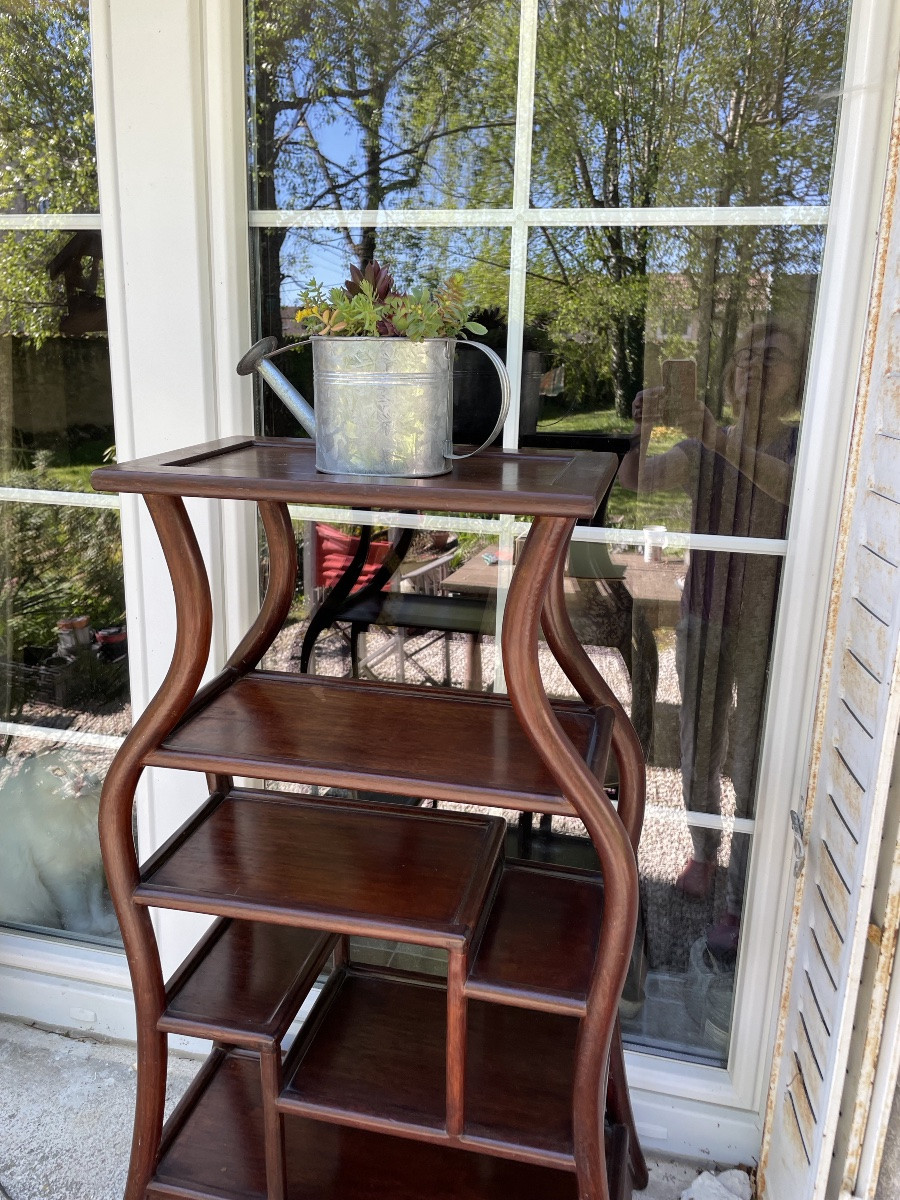 China Display Cabinet In Exotic Wood-photo-2