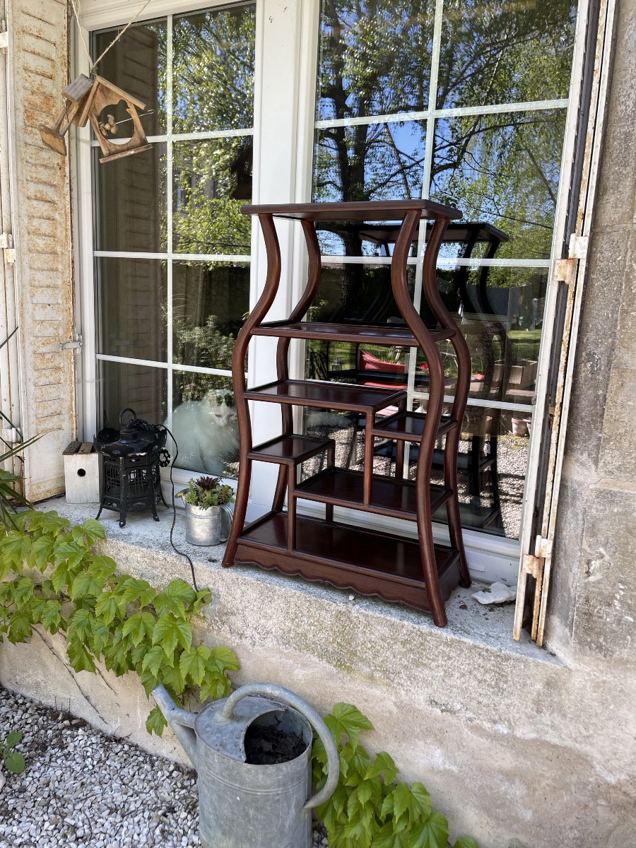 China Display Cabinet In Exotic Wood-photo-8