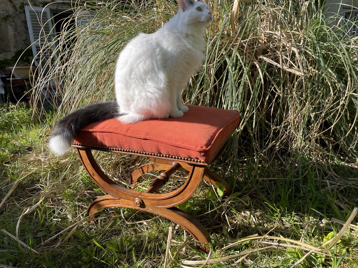 Mahogany Stool Empire Style -photo-5
