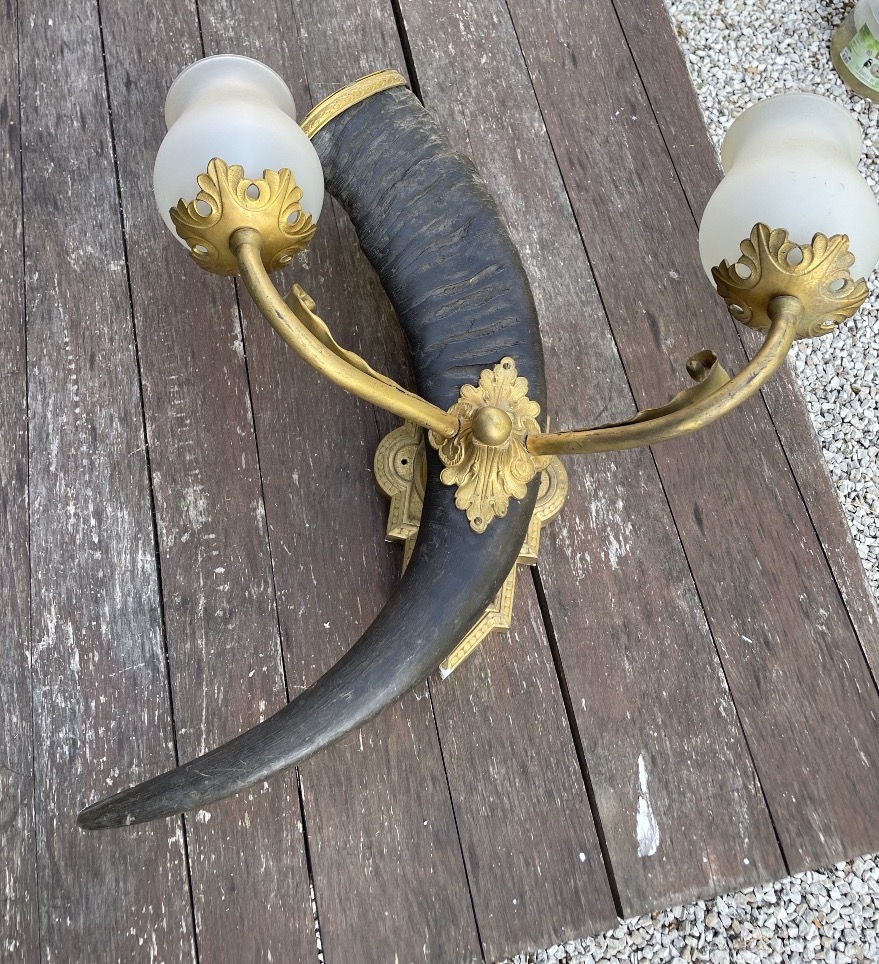 Paire de très grandes appliques de chasse en corne et bronze 62 cm -photo-4