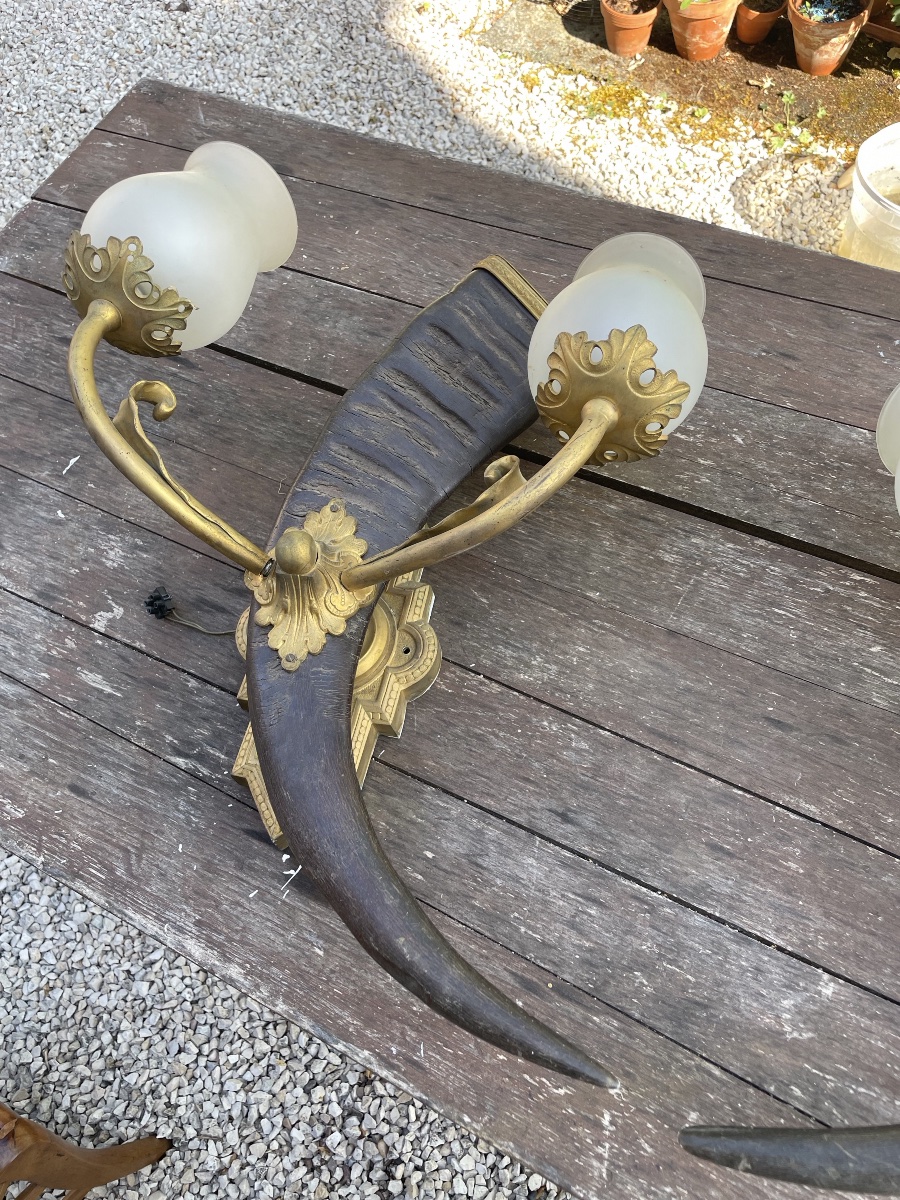 Paire de très grandes appliques de chasse en corne et bronze 62 cm -photo-4