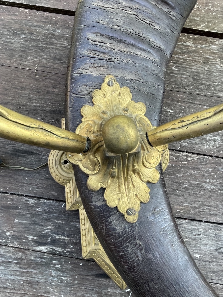 Paire de très grandes appliques de chasse en corne et bronze 62 cm -photo-1