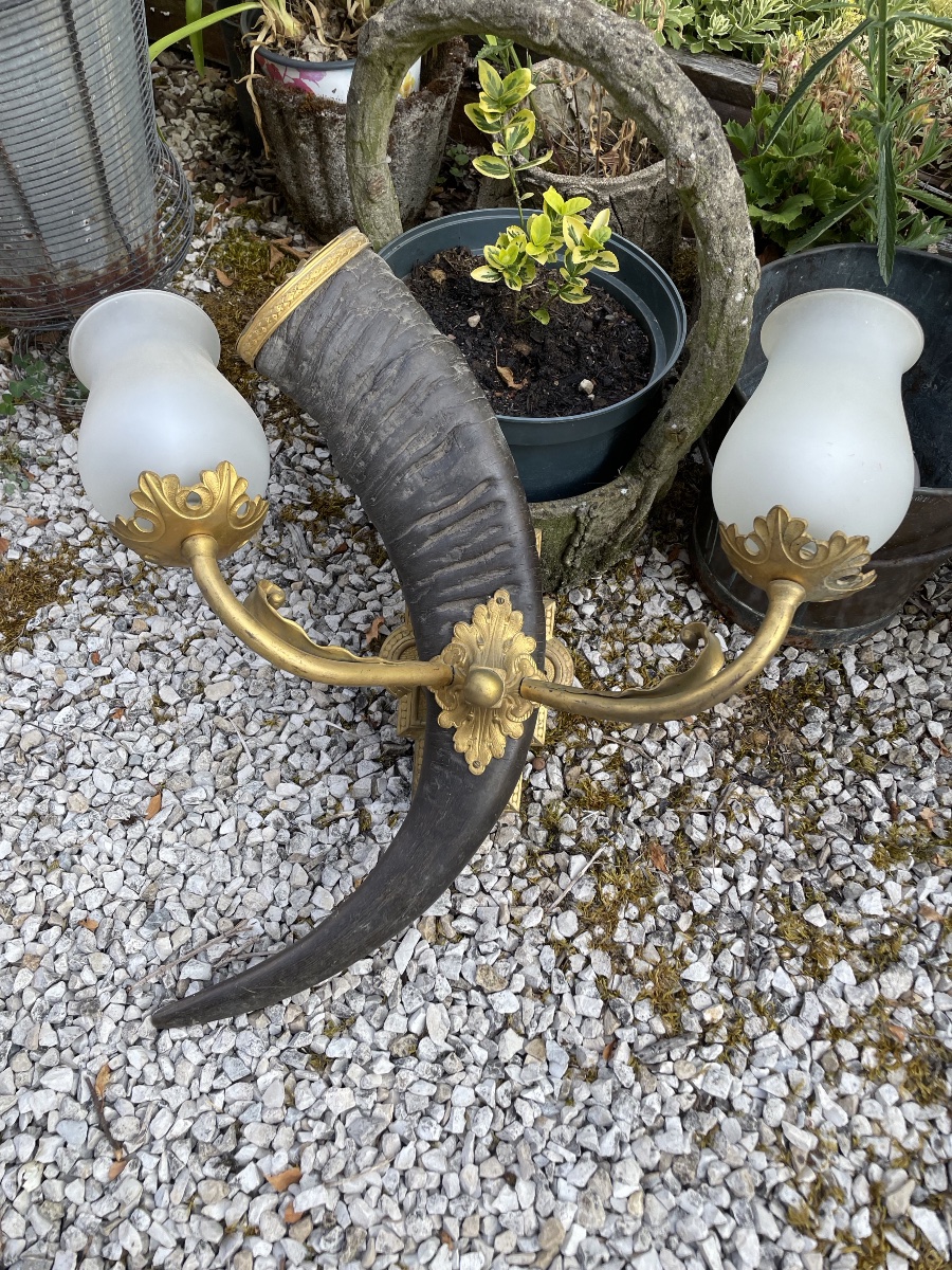 Paire de très grandes appliques de chasse en corne et bronze 62 cm -photo-2