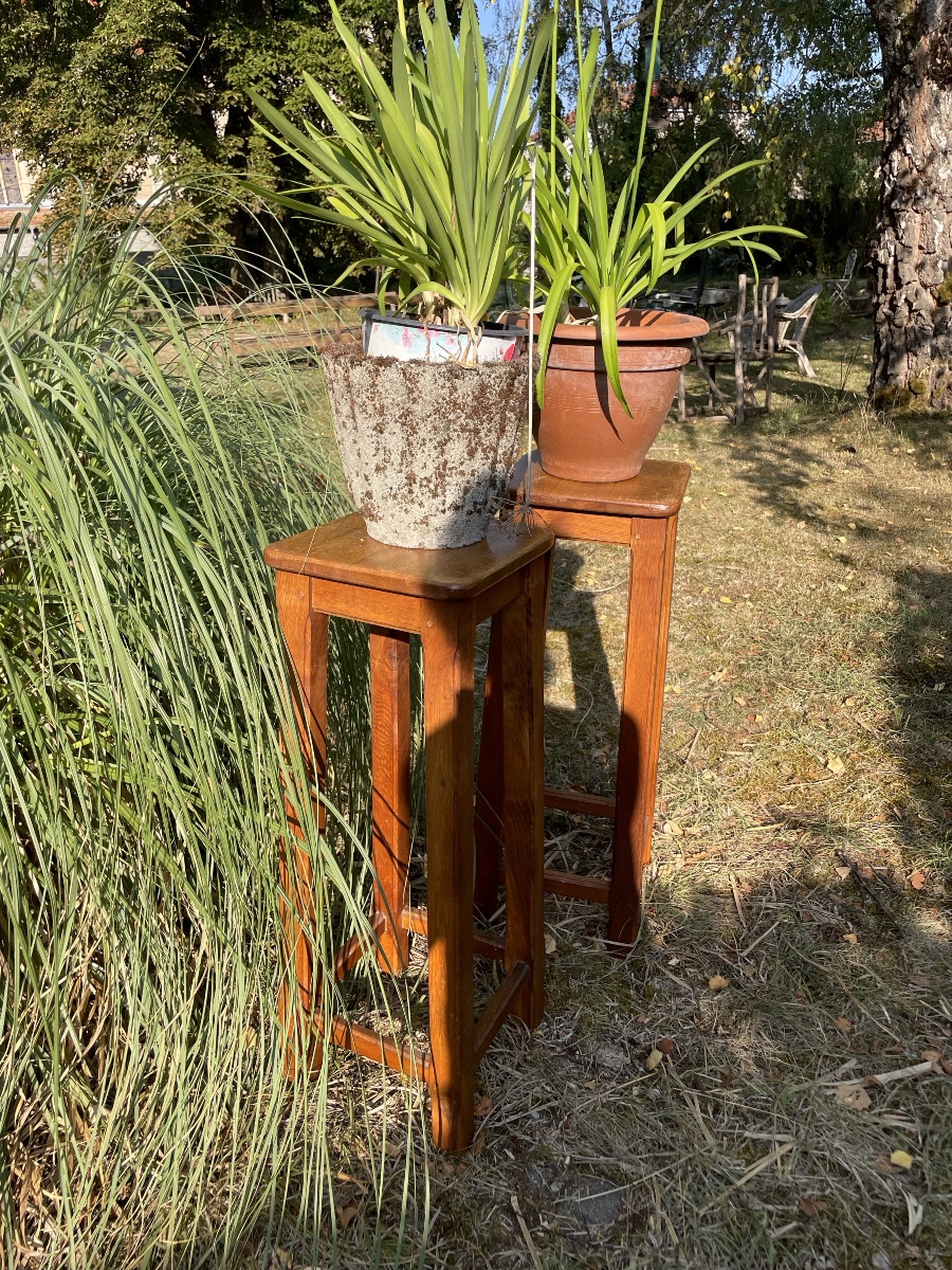 Pair Of Oak Stools -photo-2