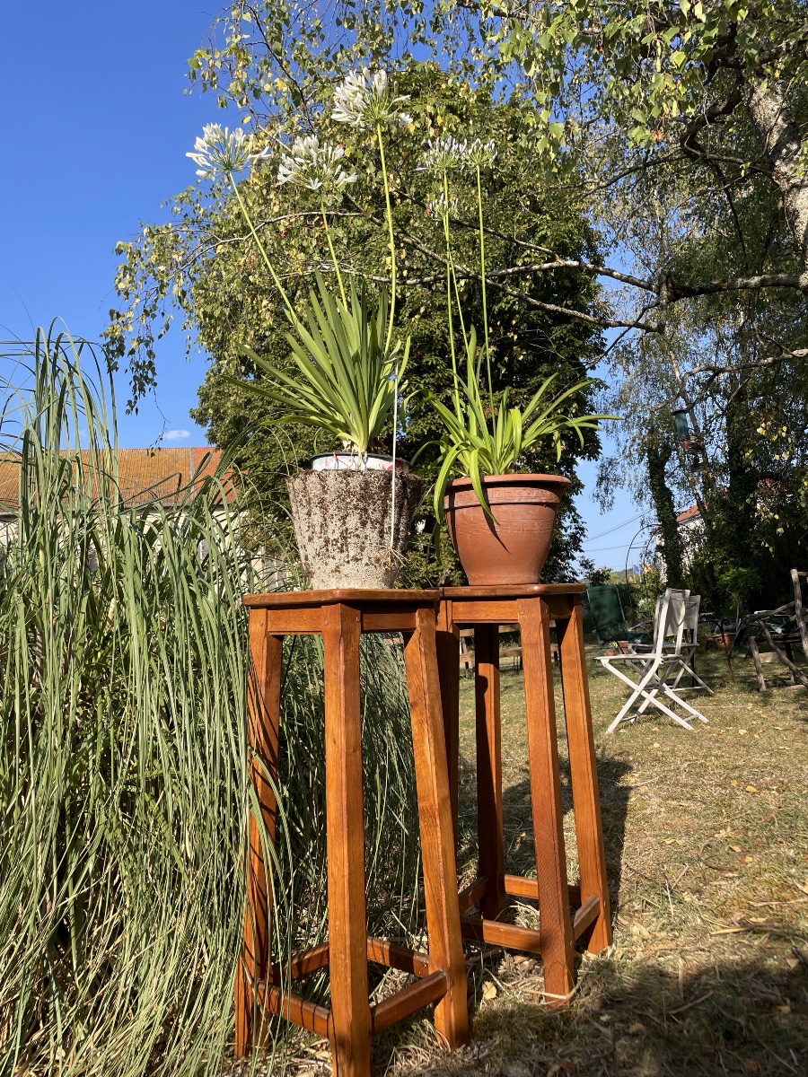 Pair Of Oak Stools -photo-3