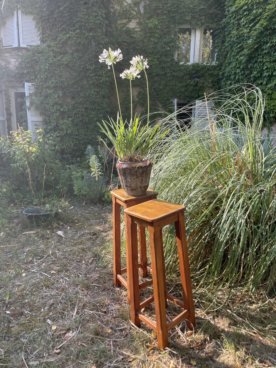 Pair Of Oak Stools -photo-6