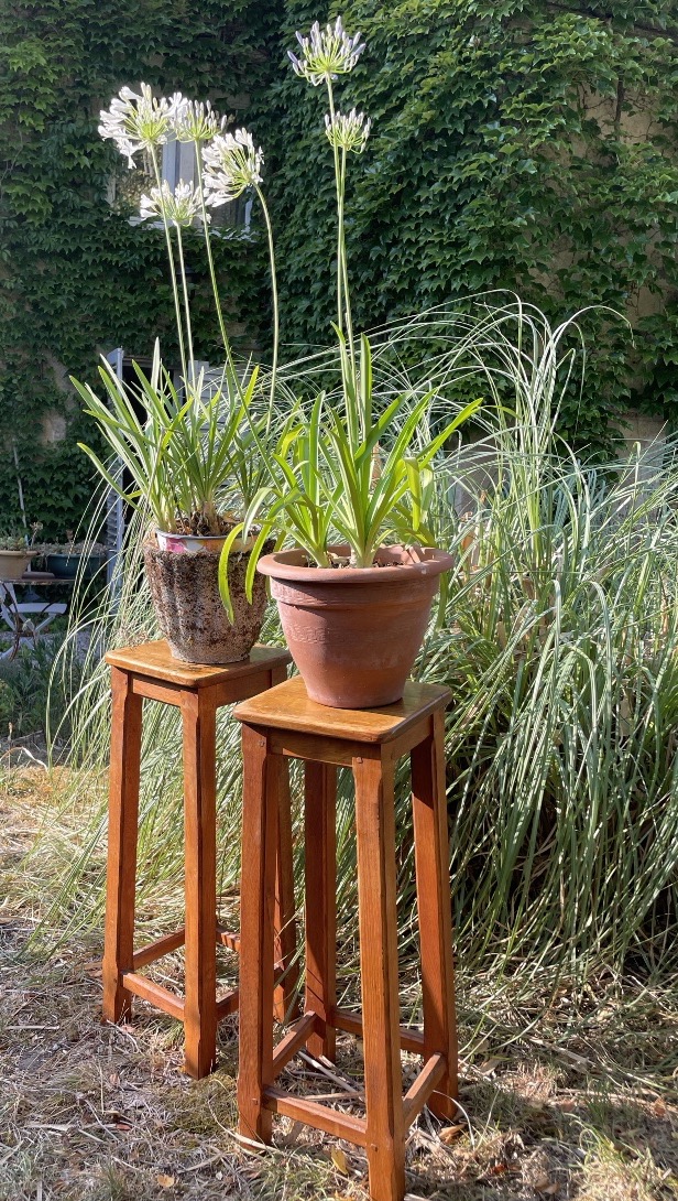 Pair Of Oak Stools 