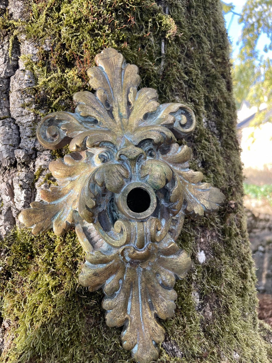 Petit gueuloir de Fontaine, tête de lion fantastique -photo-5