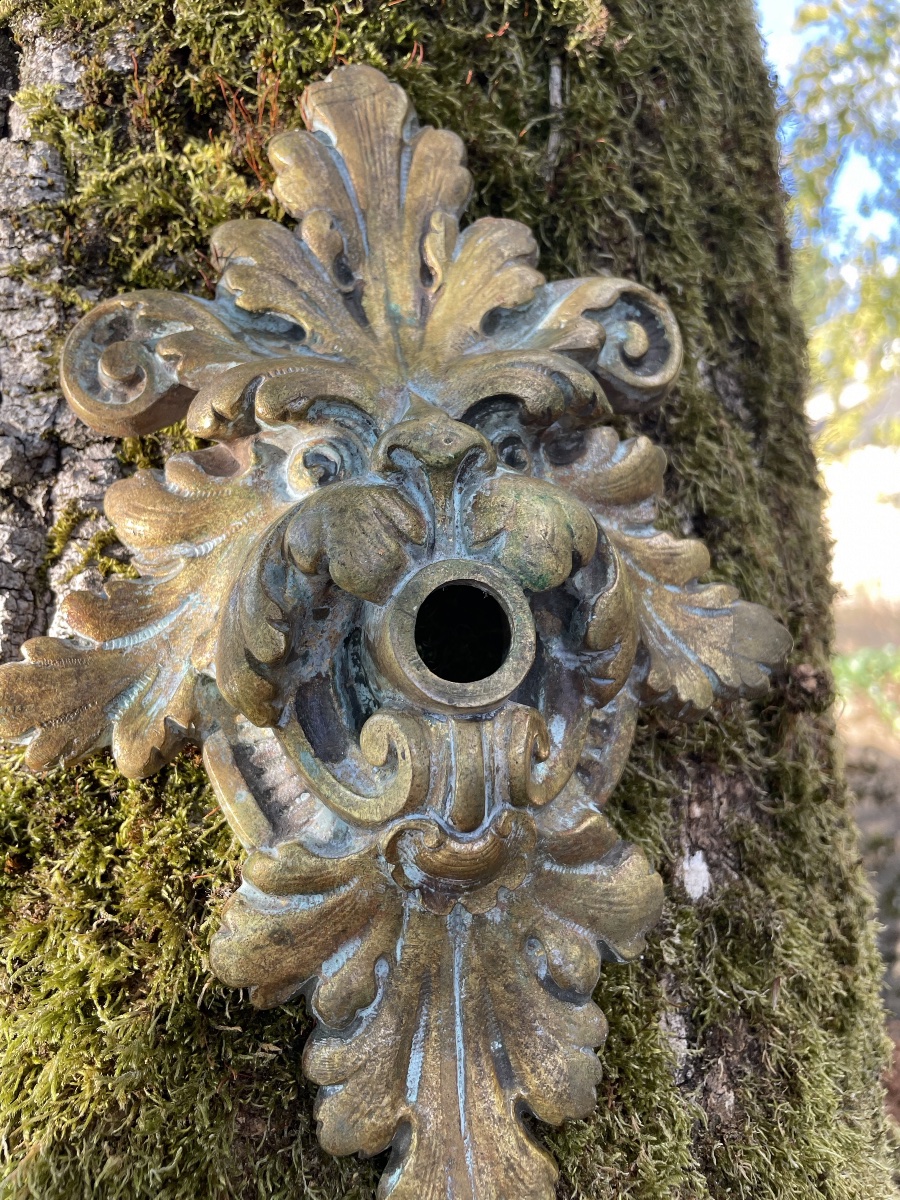 Petit gueuloir de Fontaine, tête de lion fantastique 