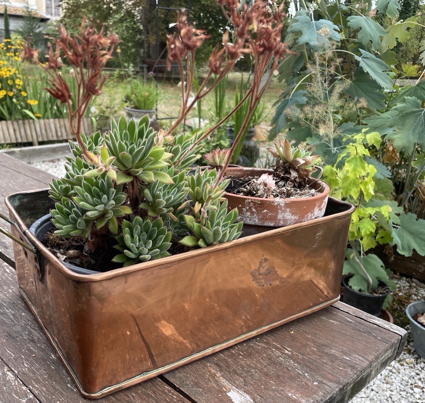 Copper Flower Box -photo-5