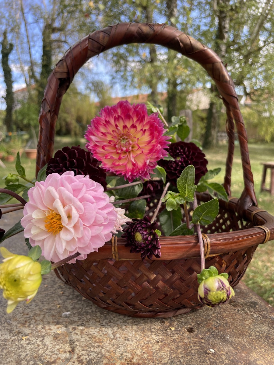 Panier à ikebana en bambou tressé , Japon -photo-2