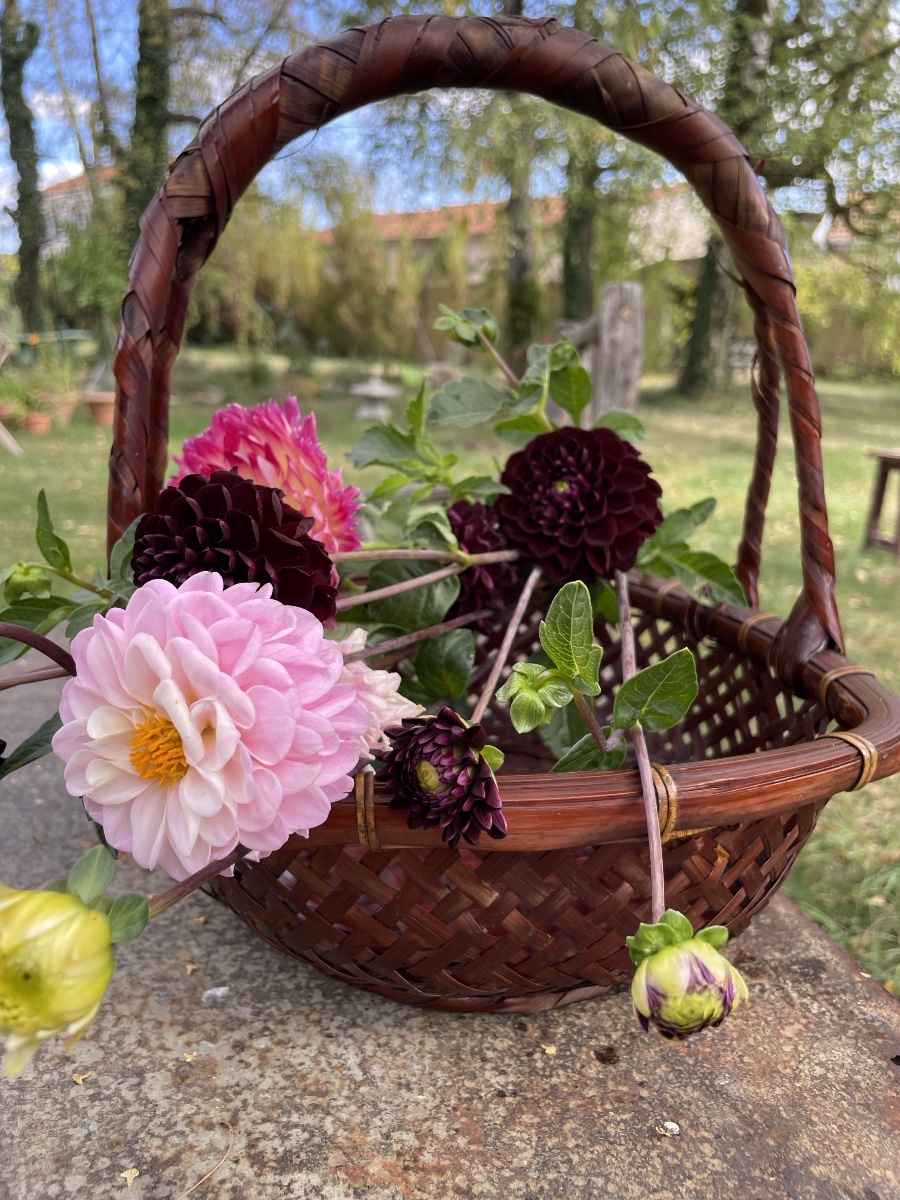 Panier à ikebana en bambou tressé , Japon -photo-4