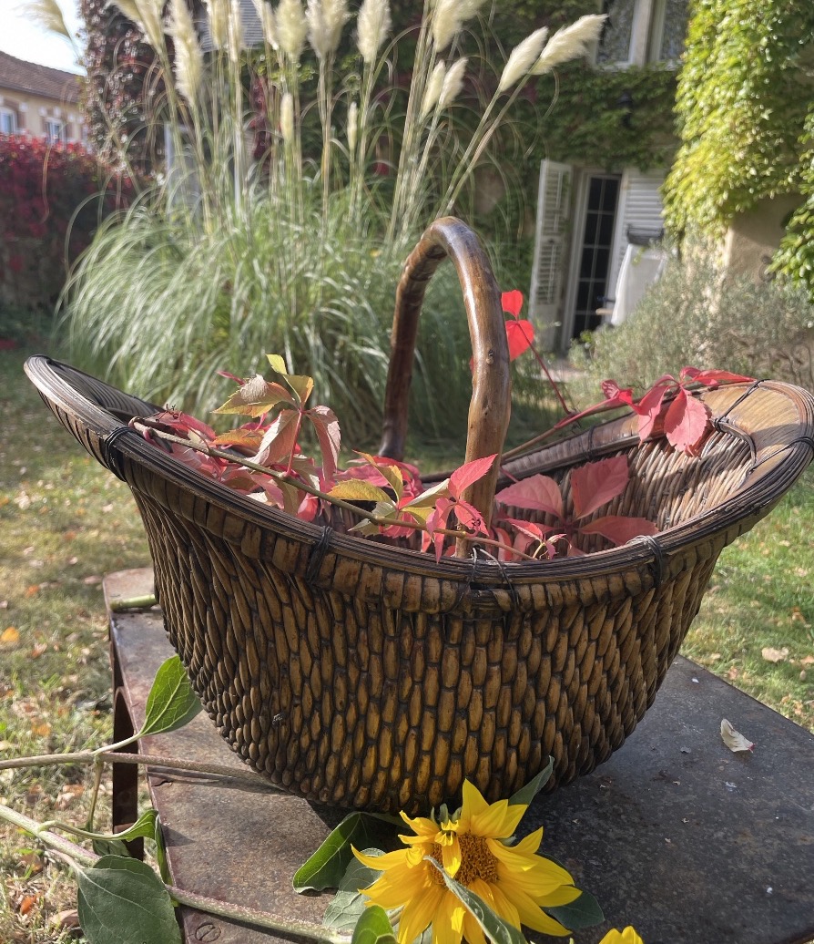Panier à Ikebana en osier tressé 