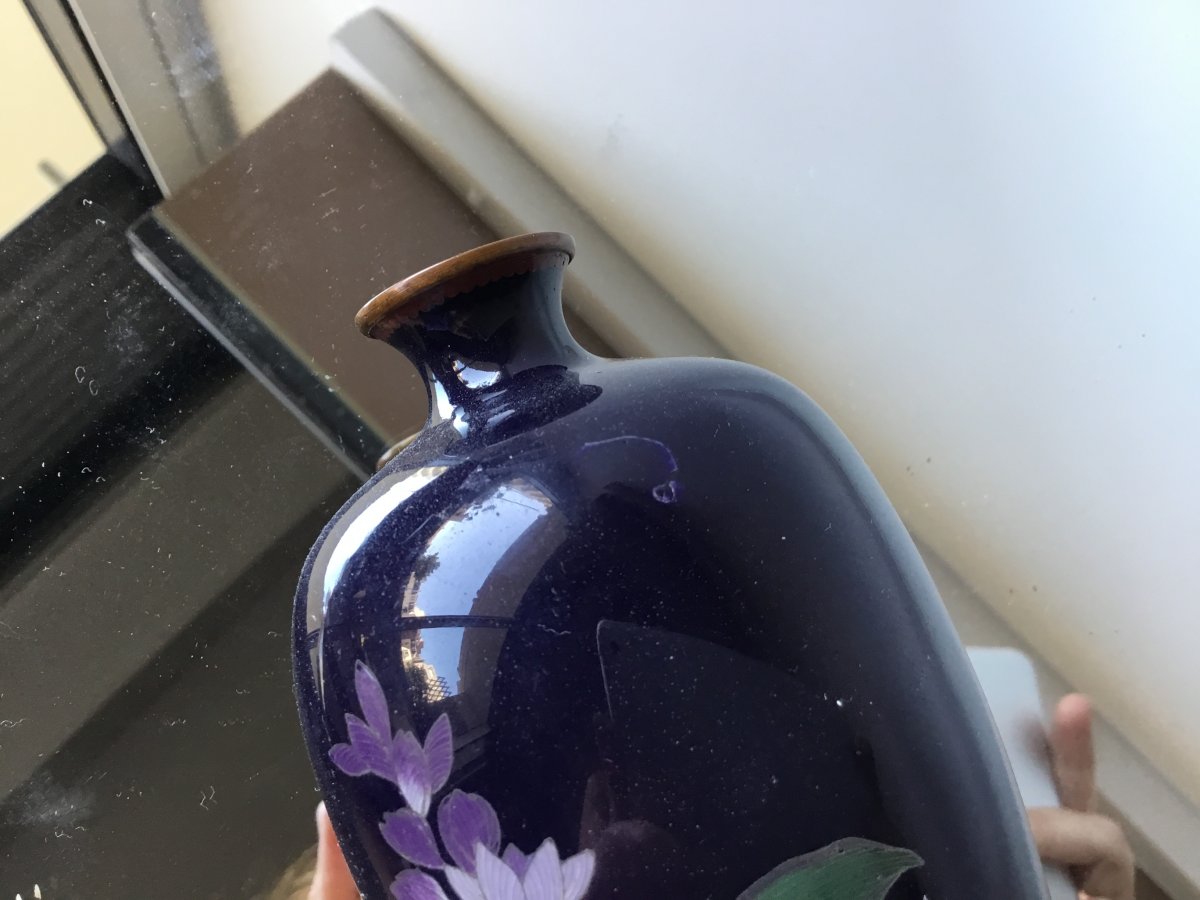 Japanese Cloisonne Vase Decor Flower And Lotus Leaves Edo Period-photo-7